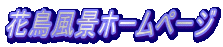 Ԓiz[y[W